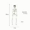 Halloween Skeleton Simulation Human Skeleton Ornament Toy