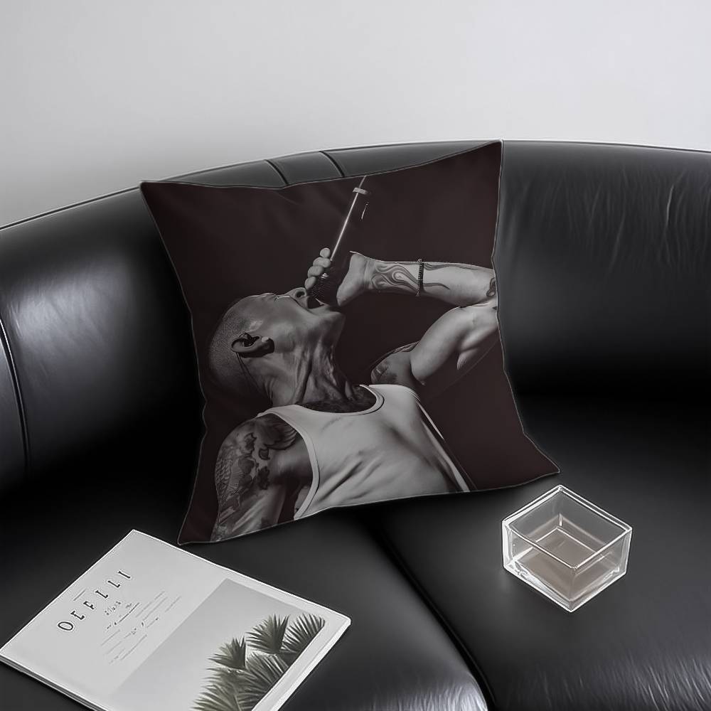 

Singer CChester BBennington Pillow Case Antidustmite Invisible zipper Sofa Bed 30X30cm