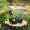 Spider and Mantis Breeding Case made of Transparent Acrylic; Ideal Habitat for Reptiles and Insects