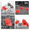 Impression sur toile, Ensemble de coquelicots rouges