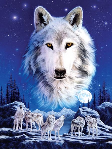 Peinture de diamant complète 5d à faire soi-même, broderie d'animaux, perceuses carrées et rondes, forêt, clair de lune, loup, mosaïque, décoration de meubles, cadeau de loisirs