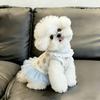 Soft Thin Summer Dog Dress Cute Style Princess Dress New Teddy Dog Skirt  for Small Dogs