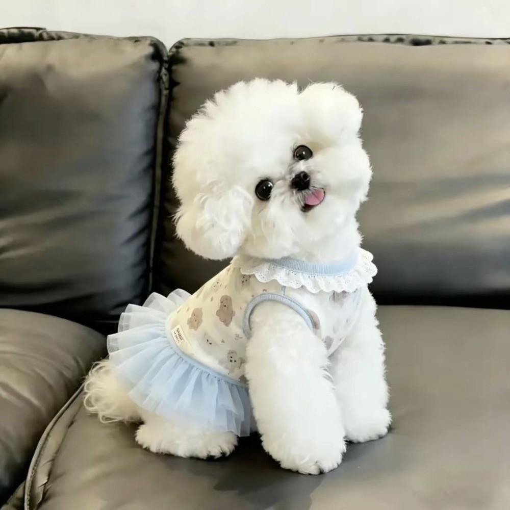 Soft Thin Summer Dog Dress Cute Style Princess Dress New Teddy Dog Skirt for Small Dogs