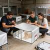 Hondenrenhoes 210D Oxford Privacy Afscherming Zonnescherm Waterdicht Grote Hondenrenhoes Voor Terras Picknick Buiten Kamperen Achtertuin