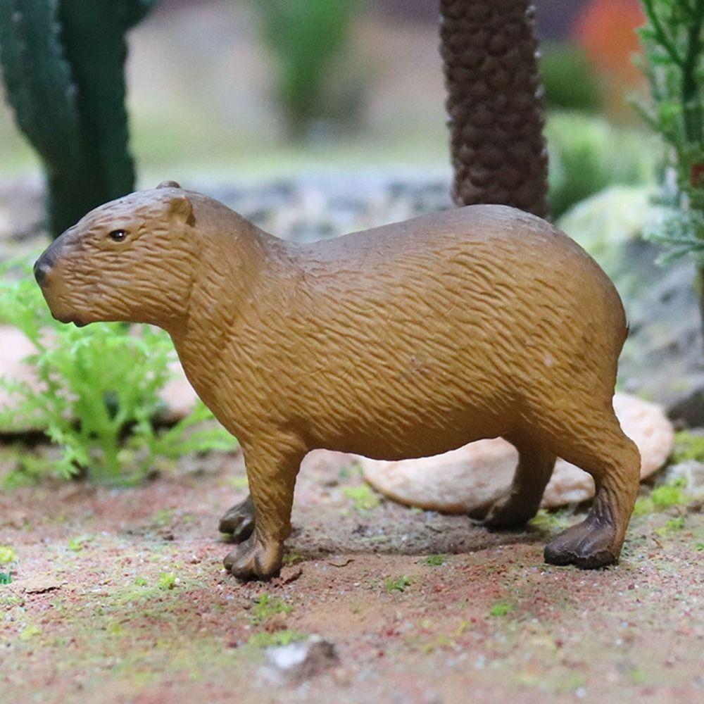 Model Capybara Action Figure Mini Wild Animal Model Water Dolphin Action Figure Capybara Model Toys