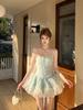 Floral Strapless Puffy Princess Birthday Dress