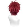 Ayato Sakamaki Cosplay Wig, Heat-Resistant, Perfect for Halloween, Events, and Photoshoots.