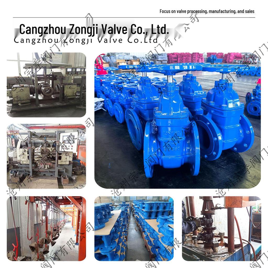 304 Stainless Steel Resilient Seated Gate Valve Z45X for Medium/Low Pressure Tap Water, Flanged