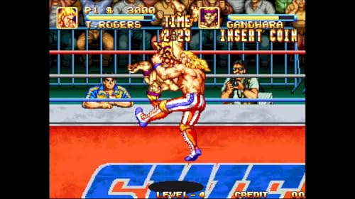 ACA NEOGEO Selection Vol.3 -Switch