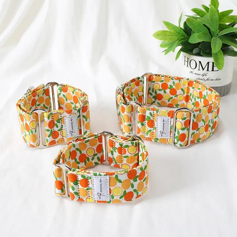 Italian Greyhound Whippet Martingale wide adjustable dog collar patterned cotton collar K5B5Q4