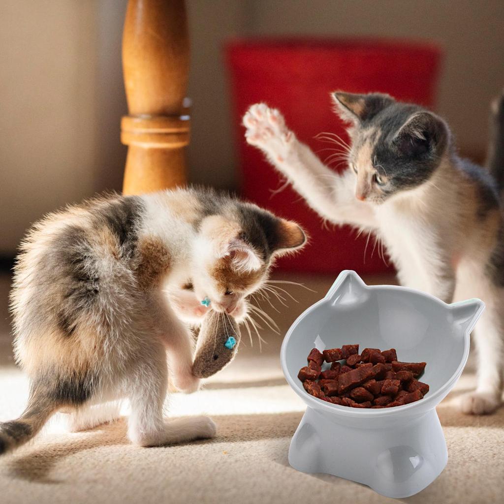 Tilted Cat Food Bowl Elevated Cat Bowl Ergonomic Cat Food Dish Anti Vomiting Raised Cat Food Bowl With Tilted Edge
