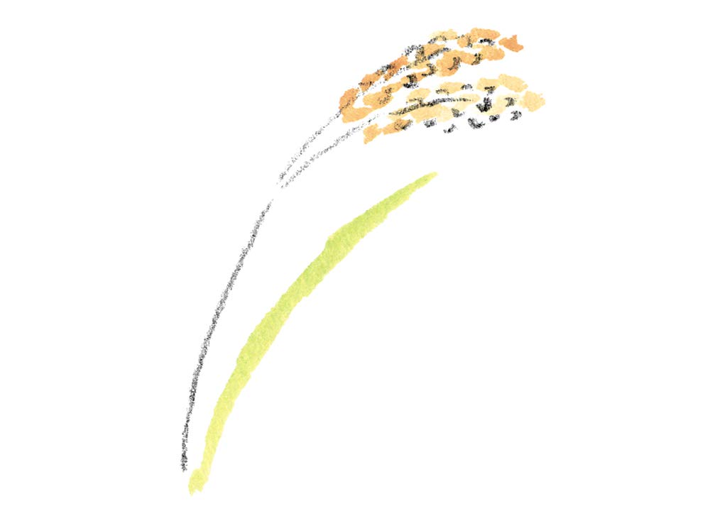 Rice Bran Body Lotion M-mark