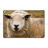 Sheep Metal Plaque Wall Cave Wall Mural Wall Cave Decoration Designer Tin Sign Poster