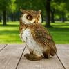 Simulated Animal Sculpture Vivid Bird Miniature Figurine Cute Owl Statue  Bookshelf