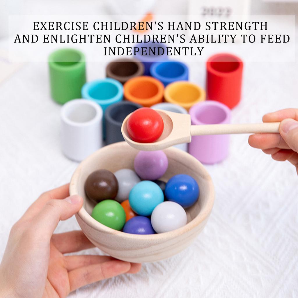 Balls In Cups Toy Wooden Sorter Game 12 Balls 30 Mm Age 1+ Color Sorting And Counting Preschool Learning Education
