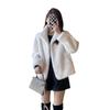 Small Wool Sweater Loose Stand Collar Contoured Plush Jacket Short Imitation Mink Plush Thick Coat Women's Autumn and Winter