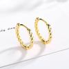 Korean Version of Stud Earrings Fashion Women's Circle Model, Ring Temperament Cold Wind Twist Rope Twist Ear Buckle Men's and Women's Models