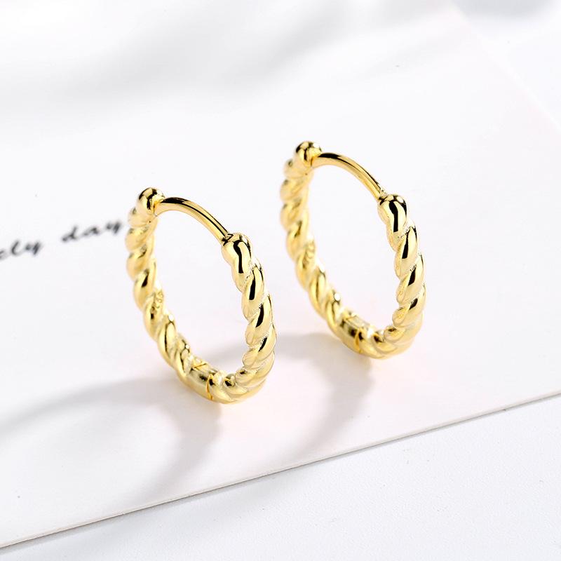 Korean Version of Stud Earrings Fashion Women's Circle Model, Ring Temperament Cold Wind Twist Rope Twist Ear Buckle Men's and Women's Models