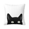 Black Cat Peeking Up Square Pillowcase Pillow Cover Polyester Cushion Zip Decorative Comfort Throw Pillow for Home Car