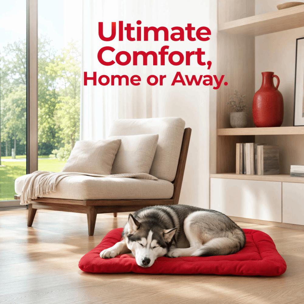Foldable Dog Bed Roll-up Pet Mat Four Seasons Outdoor  Dog Mat  Outdoor