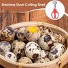 Quail Egg Scissor Kitchen Tools Durable Quail Egg Shell Scissors Rust Resistant Stainless Steel Blade Egg Shell Opener