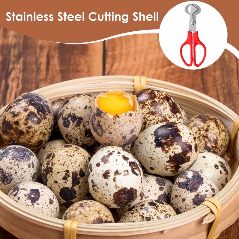 Quail Egg Scissor Kitchen Tools Durable Quail Egg Shell Scissors Rust Resistant Stainless Steel Blade Egg Shell Opener