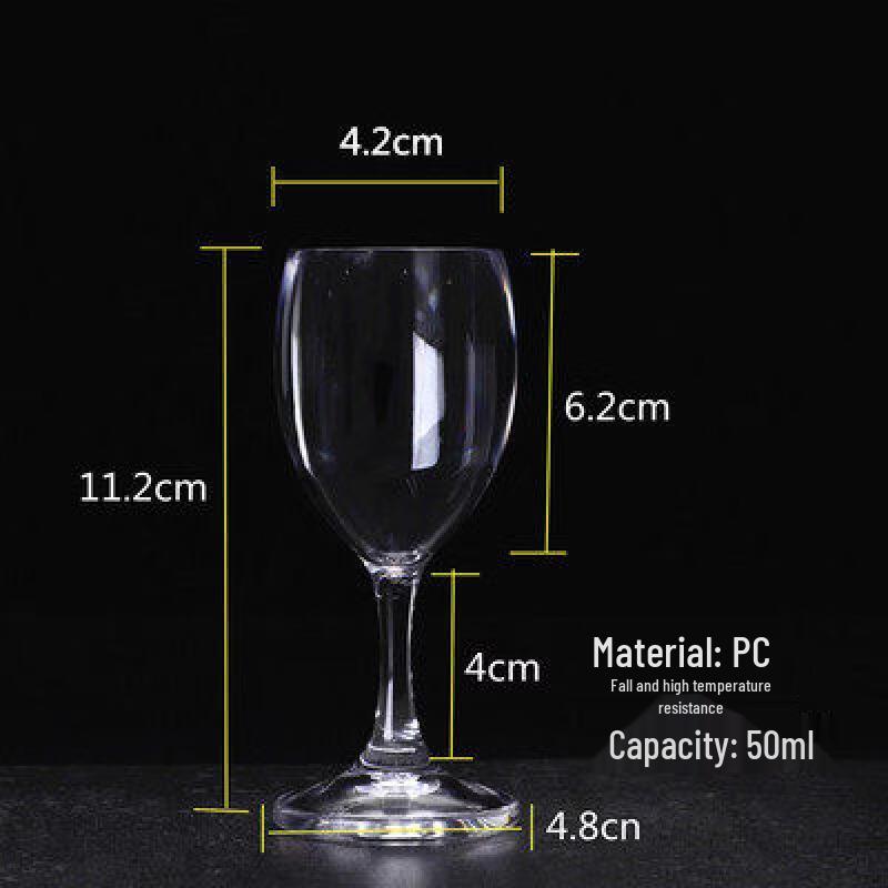 Acrylic Plastic Wine & Champagne Glass