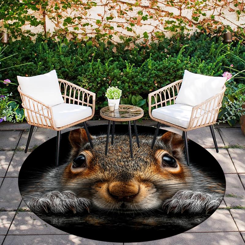 Squirrel pattern round rug,Carpet Rug for Living Room Bedroom Playroom ,Non-slip Floor Mat,Holiday Gifts and Birthday Gifts.