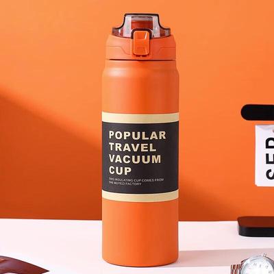 Outdoor Insulated Sports Water Bottle with Straw