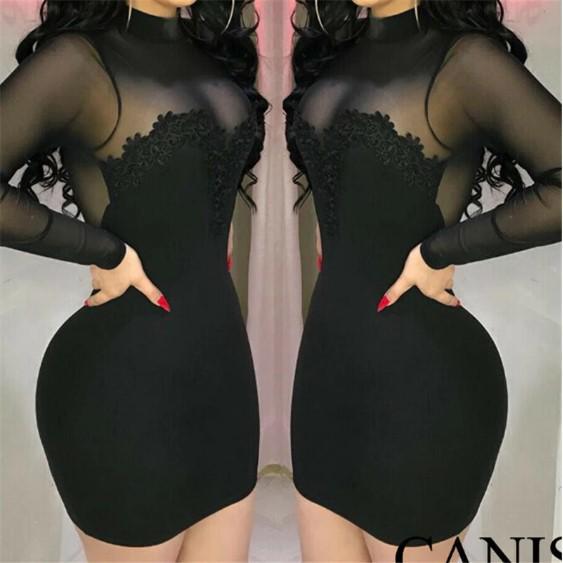 Women's Geometric Collar Long Sleeve Semi-Transparent Mini Dress