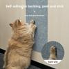 This Cat-teasing Tool Can Be Pasted with Durable Cat Crawling Stickers, Cat Climbing Stickers, Cat Scratch Pads, and Pet Cat Crawling Pads
