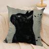 Schwarze Katze Kissenbezug Ultraweiches Hautfreundliches Gewebe Wolkenartiger Komfort Verdeckter Reißverschluss