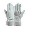 Warm gloves women's cloud velvet gloves outdoor riding bow non-slip student cold-proof touch-screen winter gloves