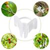20/30/50PCS Plant Grafting Clips Mini Plastic Vegetable Fruits Plant Vine Bind Clamps Fruits Seeding Supports Connector Fixing Clips
