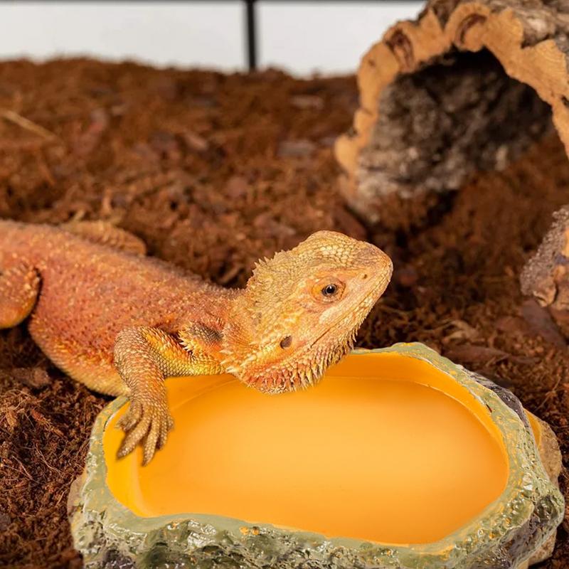 

Reptile Water Bowl Reptile Tank Snake Water Basin Dish Snake Feeding Station Reptile Terrarium Bowls Decoration For Tank Tray spain