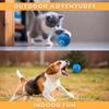 Hüpfball für Hunde – lustiges interaktives Spielzeug, per USB wiederaufladbar, langlebiges Design, wasserfest für alle Spielumgebungen