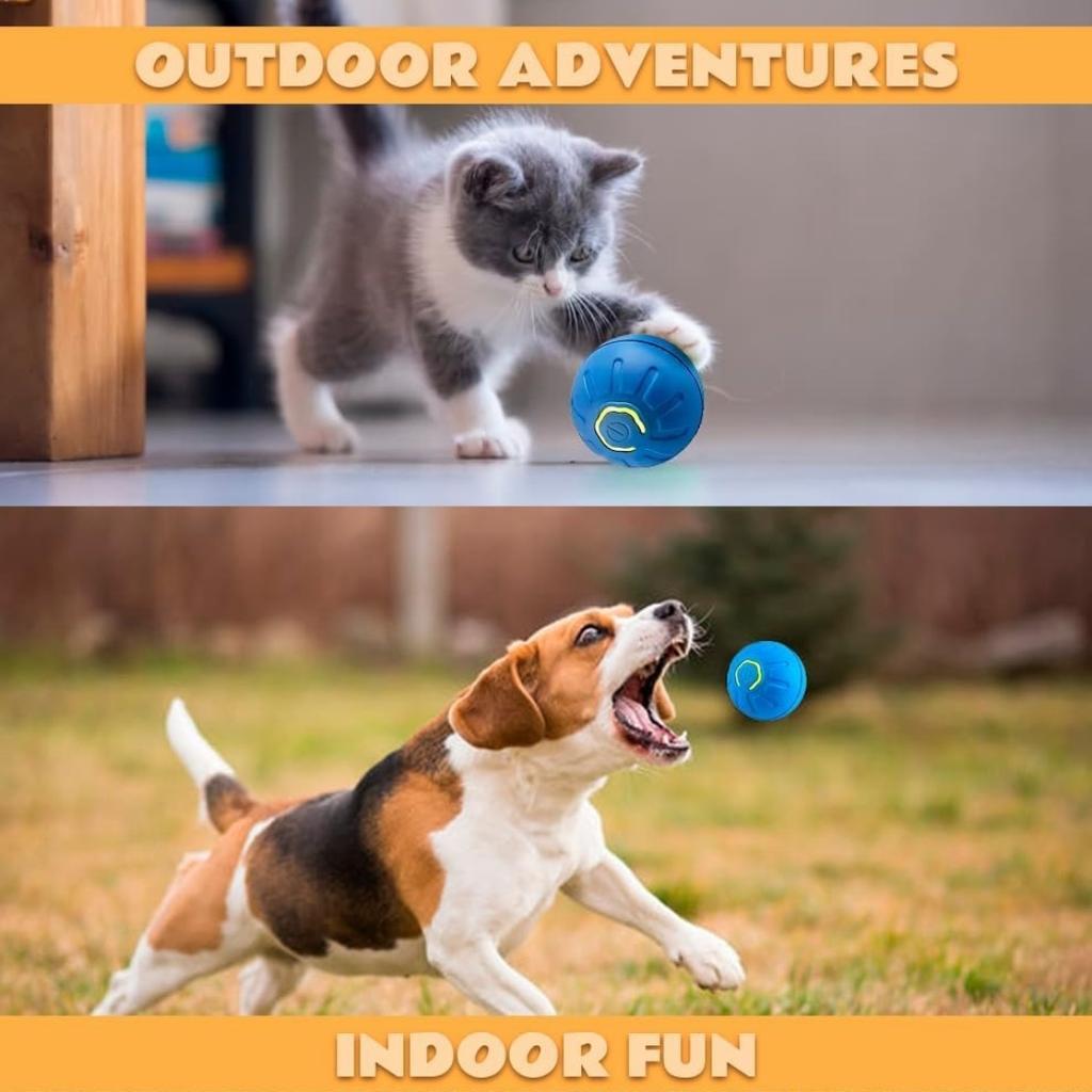 Hüpfball für Hunde – lustiges interaktives Spielzeug, per USB wiederaufladbar, langlebiges Design, wasserfest für alle Spielumgebungen