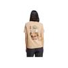 Adidas Terrex Polygiene Graphic Loose Fit Round Neck Sports T-Shirt Women Tops Warm-Sand JI8322