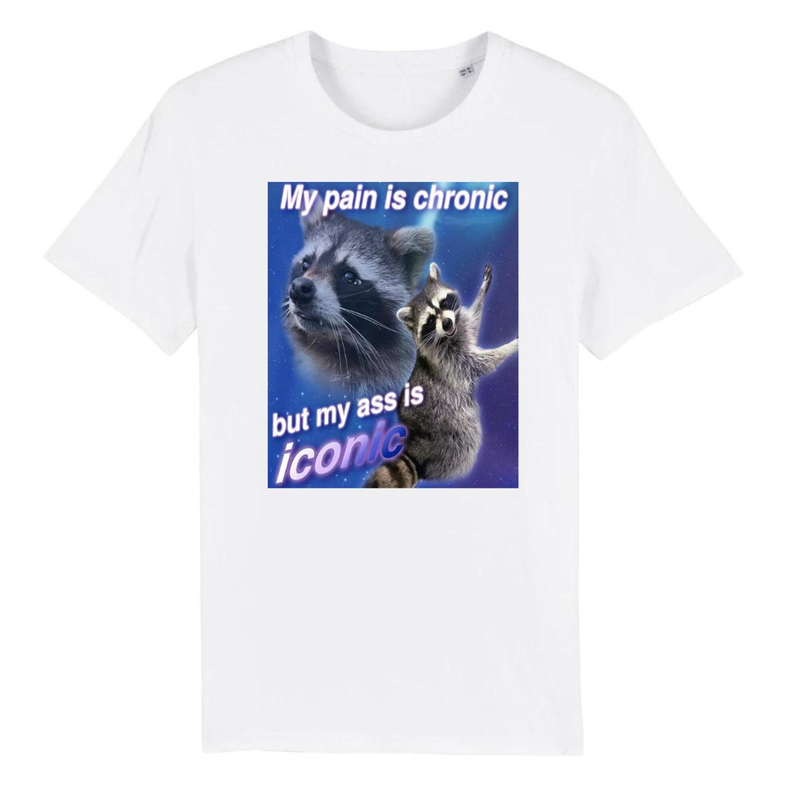 Funny Raccoon Meme T-Shirt: My Pain Is Chronic M
