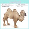 Animal Zoo Pvc Static Model Set With Desert Camels For Educational Display