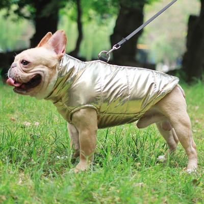 Giyim ve ayakkabı – Köpekler İçin Ceketler ve Montlar