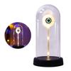 LED Clear Dome Eyeball Night Light Creepy Light-up Eyeball in Cloche with Wooden Base for Home Kitchen Tabletop Mentel Shelf Decor