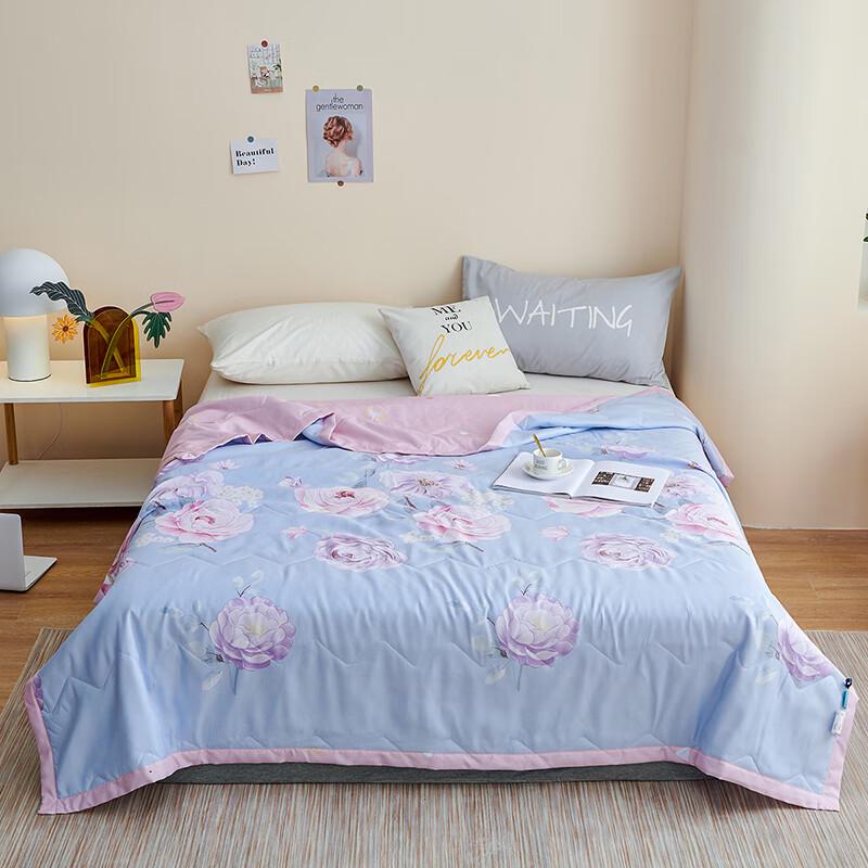 

Nanfang Life Brushed Printed Summer Air Conditioning Quilt