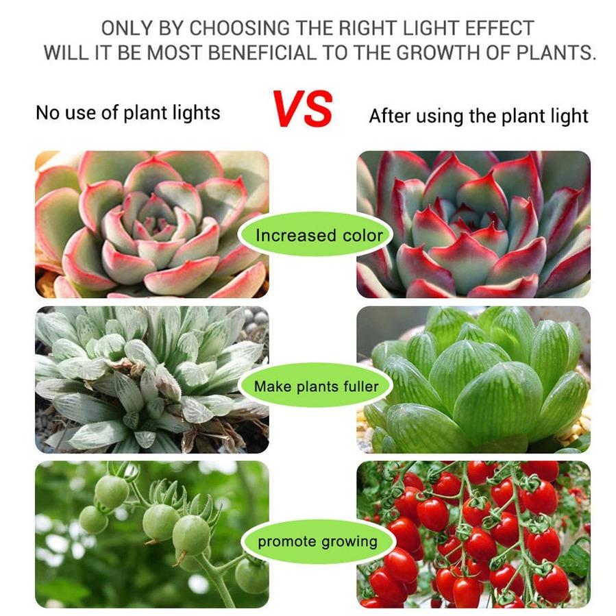 DC USB 5v Indoor Plant Grow Light Strip 1M 2M 3M Flower Seed Growth Lamp LED Full Spectrum Seedling Fito Lights USB Hydroponics