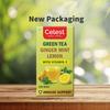 Celest Grüner Tee Minze Zitrone Ingwer mit Vitamin C 100 Teebeutel X 3er Packung Erfrischendes Gesundes Getränk