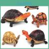 Angonoka Tortoise Pvc Realistic Model For Kids Educational Display Collectors Gift
