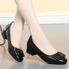 Spring Autumn Woman Shoes 2025 Shallow Mouth Elegant Office Shoes Female Pumps Fashion Black Women Work Shoes Size 35-42