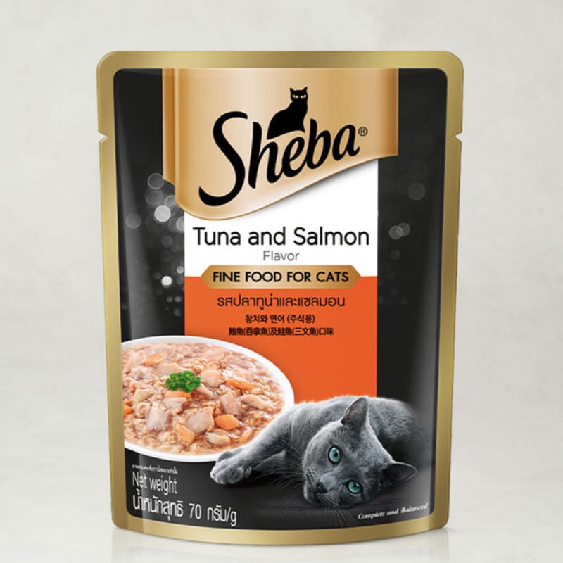 

70 G Shiva Tuna And Salmon