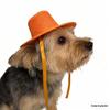 Giyim ve ayakkabı – Köpek için şapkalar