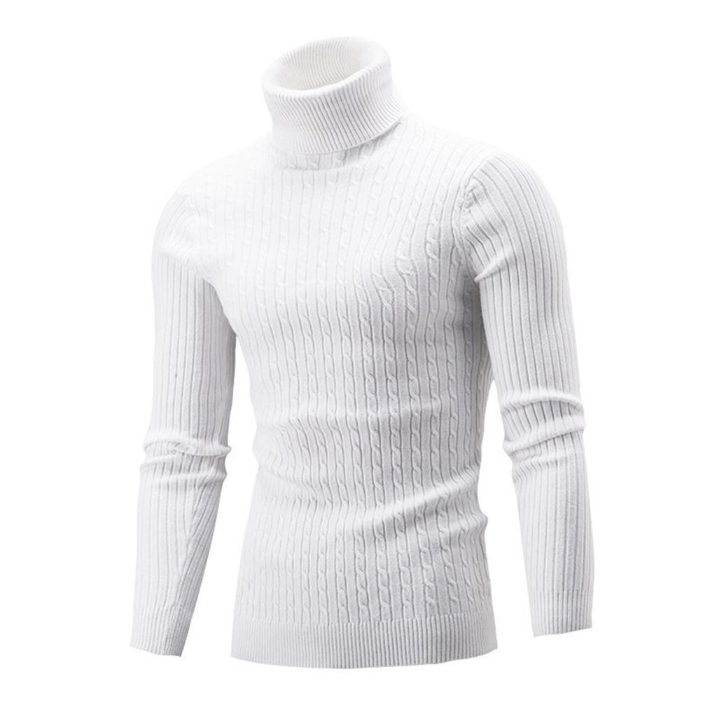 Men's Color Turtleneck Sweater